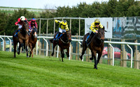 Race1_260416_BrightonRacecourse (11 of 19)